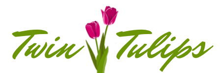 Hotel Twin Tulips